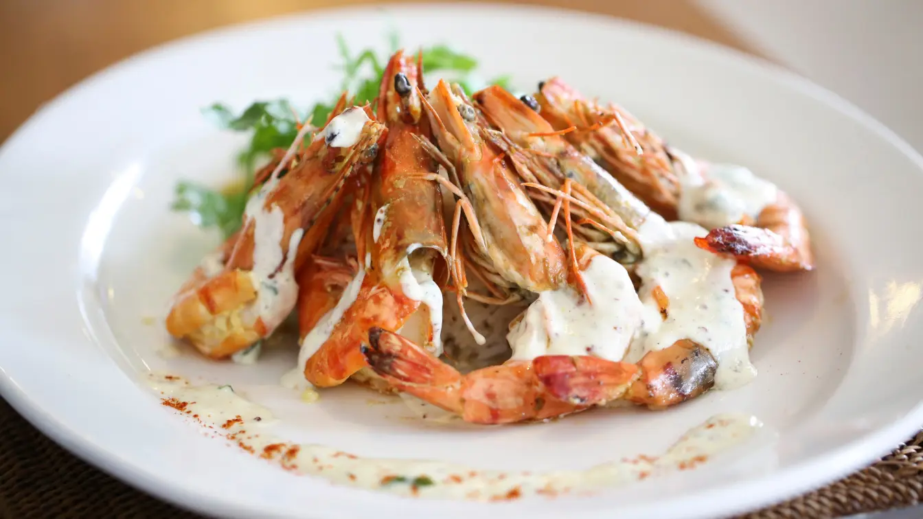 Plated grilled prawns drizzled with creamy white sauce, garnished with fresh herbs and paprika.